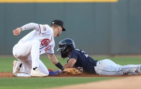 Caen Chihuahuas en Las Vegas