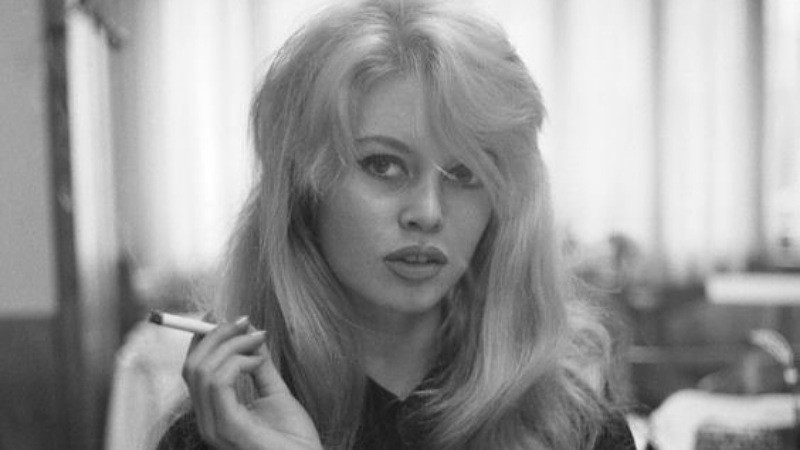 El Épico Legado de la Belleza: Brigitte Bardot, La Reina del Cine Francés, Deja Huella a los 91 Años