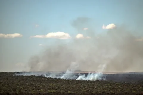 Los incendios en la Amazonía brasileña cayeron en 2025 a su menor nivel en 28 años